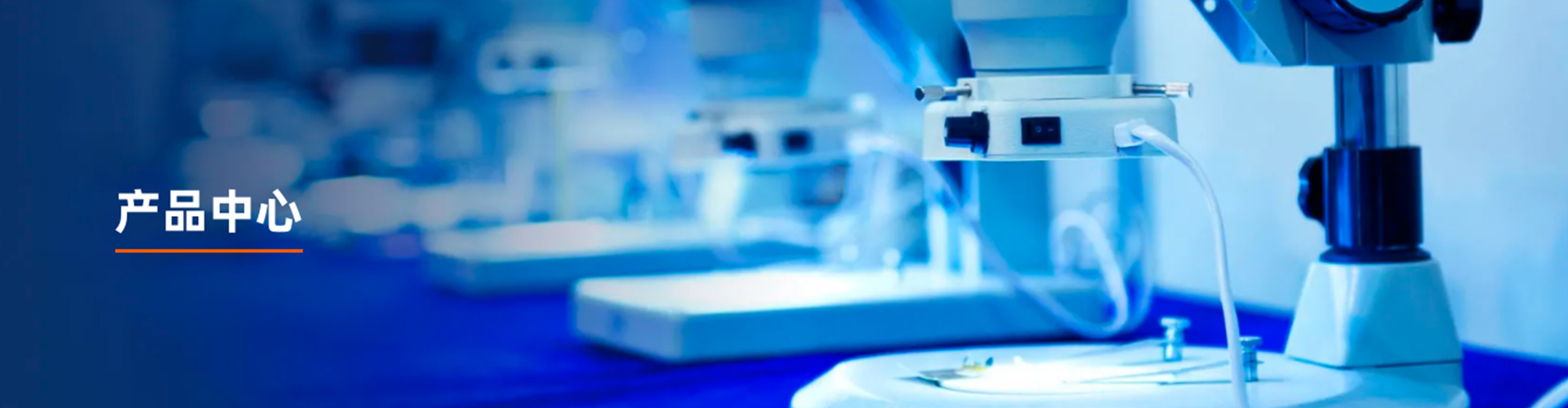 �P(gu��n)�ں՞�